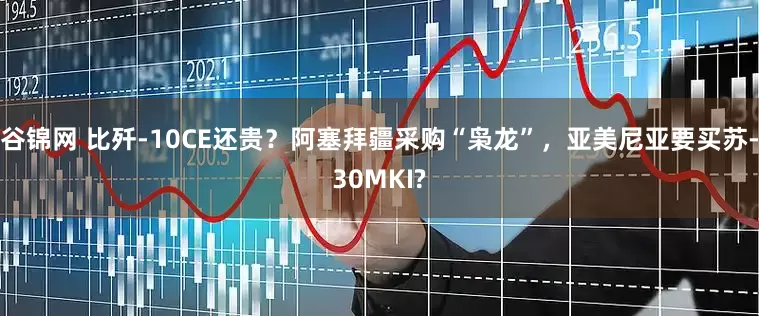 谷锦网 比歼-10CE还贵？阿塞拜疆采购“枭龙”，亚美尼亚要买苏-30MKI?