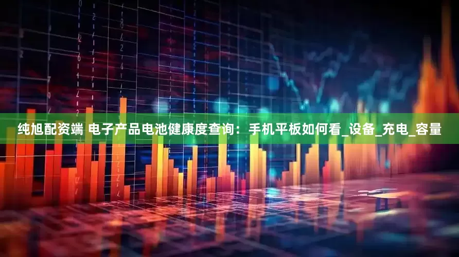 纯旭配资端 电子产品电池健康度查询：手机平板如何看_设备_充电_容量