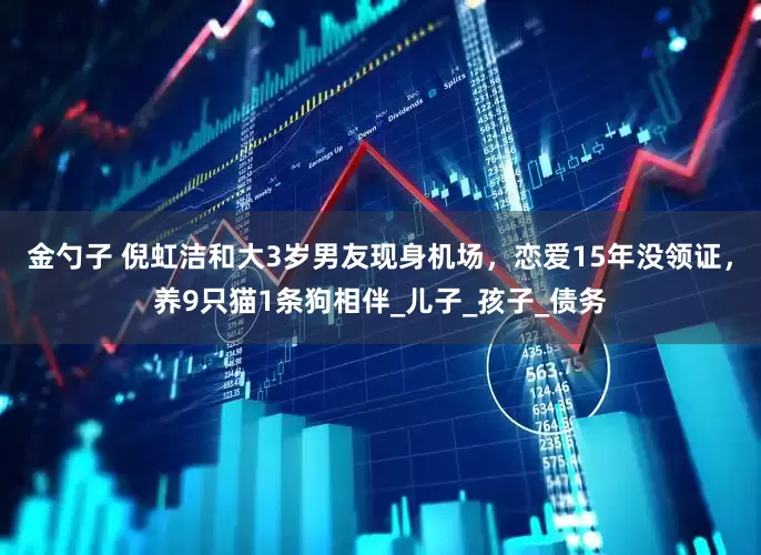 金勺子 倪虹洁和大3岁男友现身机场，恋爱15年没领证，养9只猫1条狗相伴_儿子_孩子_债务