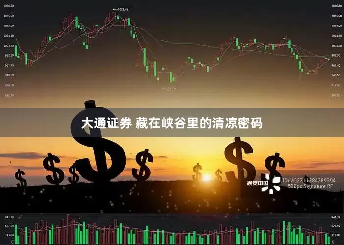 大通证券 藏在峡谷里的清凉密码