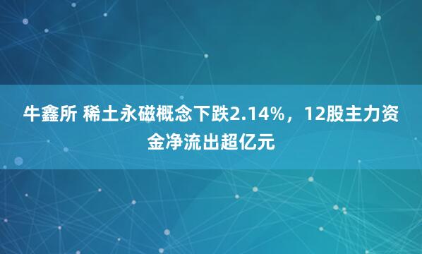 牛鑫所 稀土永磁概念下跌2.14%，12股主力资金净流出超亿元