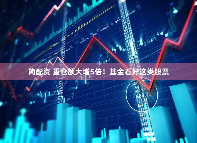 简配资 重仓额大增5倍！基金看好这类股票
